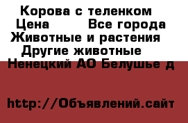 Корова с теленком › Цена ­ 69 - Все города Животные и растения » Другие животные   . Ненецкий АО,Белушье д.